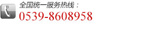 全國（guó）統（tǒng）一服務熱線：0539-8608958